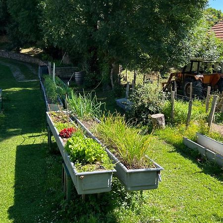 Casa Rural Roncesvalles Espinal-Auzperri Esterno foto