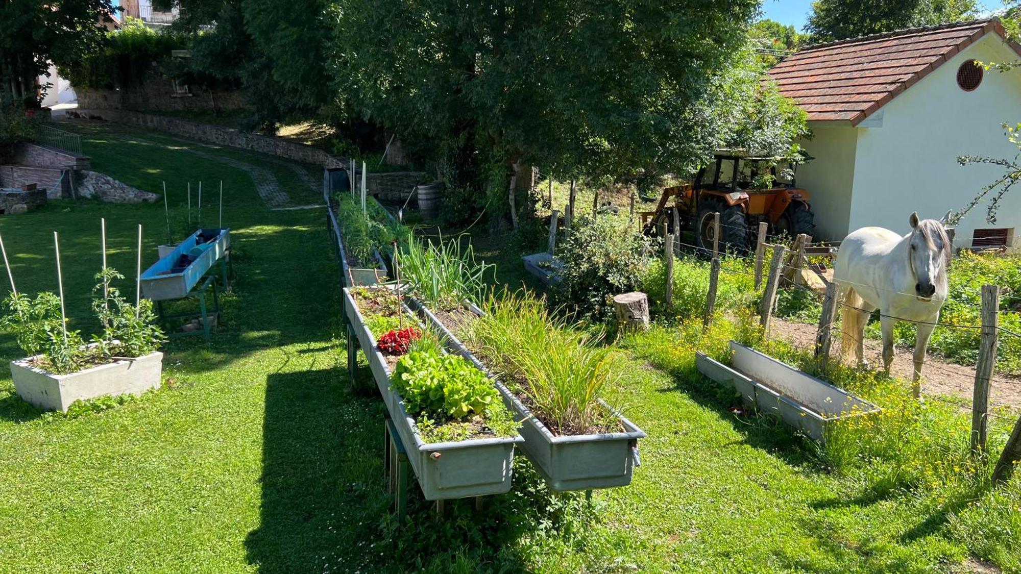 Casa Rural Roncesvalles Espinal-Auzperri Esterno foto
